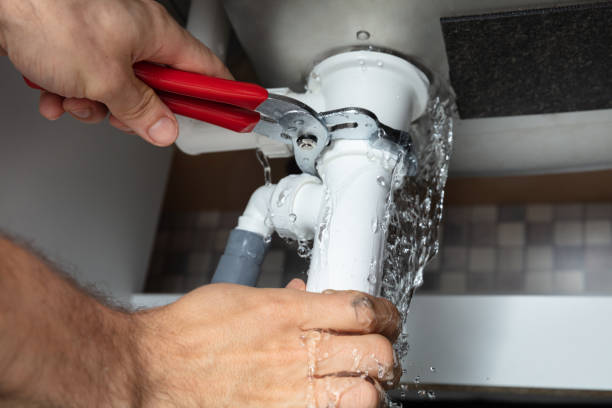 Best Professional water damage repair  in Winterset, IA