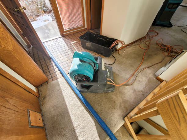 Best Flooded house restoration  in Winterset, IA
