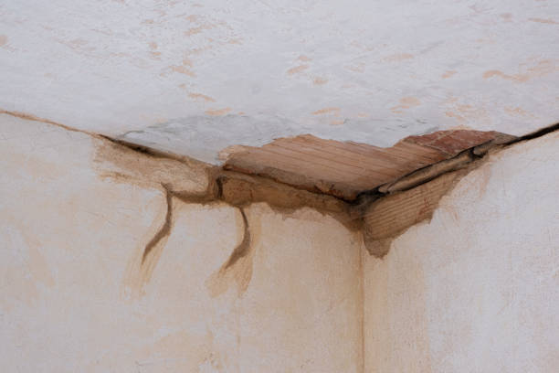 Best 24/7 water damage repair  in Winterset, IA