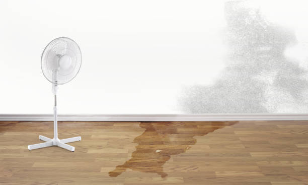 Best Flooded house restoration  in Winterset, IA