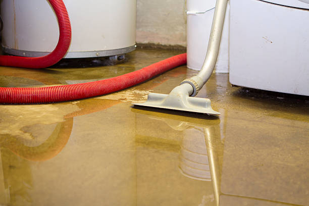 Best Water damage restoration near me  in Winterset, IA