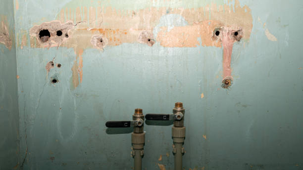 Best Water damage restoration specialists  in Winterset, IA